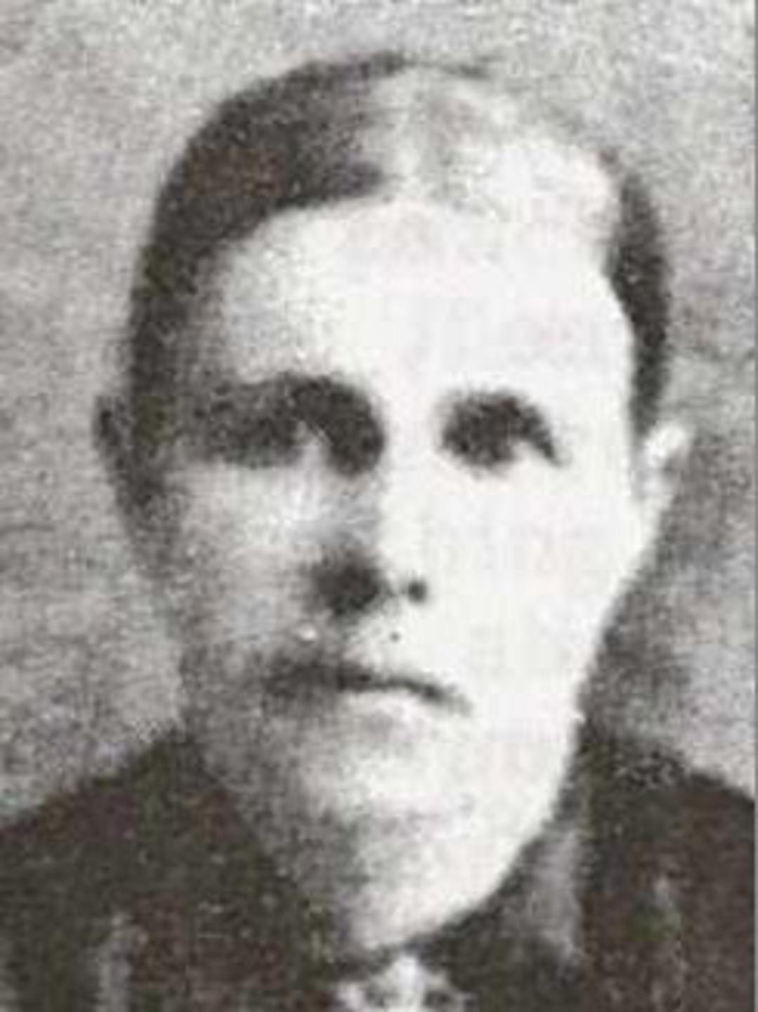 Rosetta Chapman (1834 - 1914) Profile